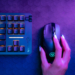 Midnight Mouse